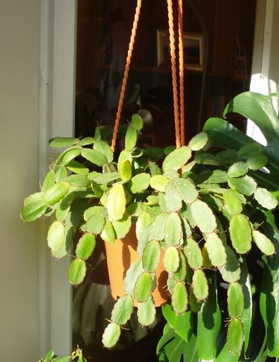 martie in interior (18)