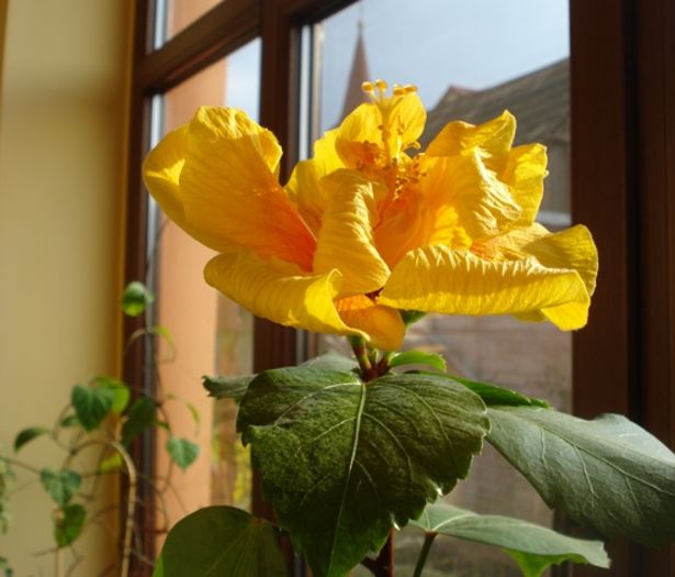 martie in interior (30)