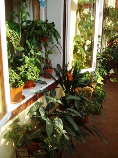 martie in interior (32)