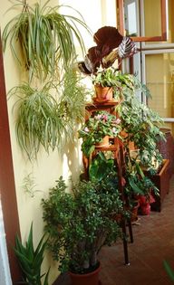 martie in interior (35)