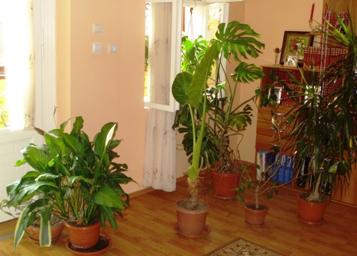 martie in interior (37)