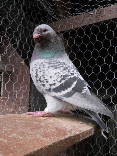 Asa arata amandoi dupa ce s-au intalnit