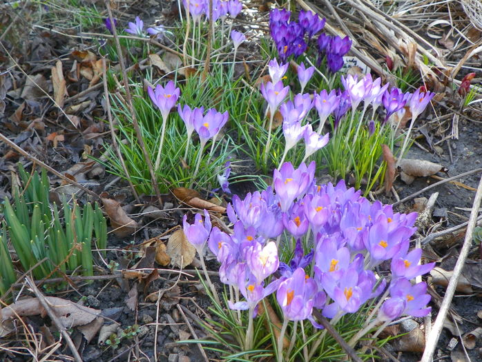 9 mart (11)