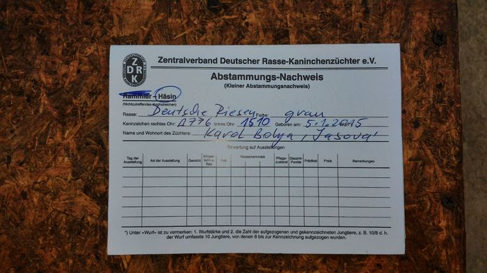 B776 1510(F) urechi 24cm - Achizitie Karol Bolya 2016