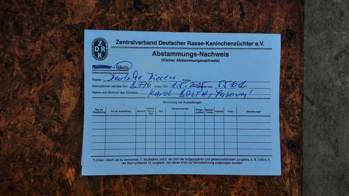 B776 55101(F) Gestanta Bolya - Achizitie Karol Bolya 2016