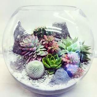 FB_IMG_1454245241292