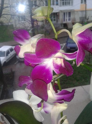 20160312_095401