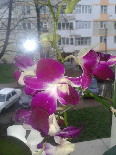 20160312_095409