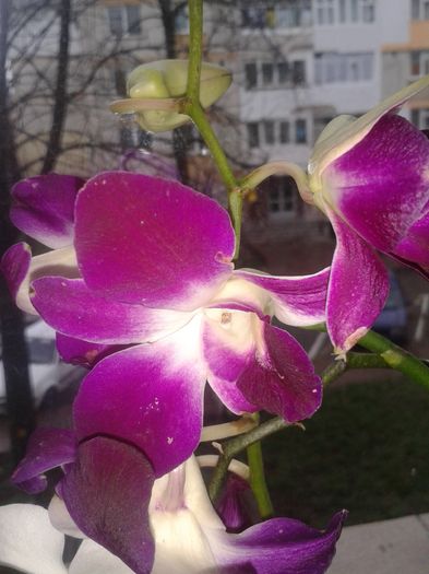 20160312_095416