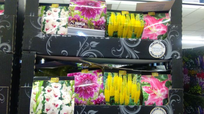 oferte lidl 14 martie