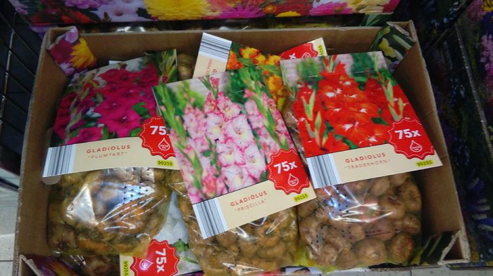 oferte lidl 14 martie