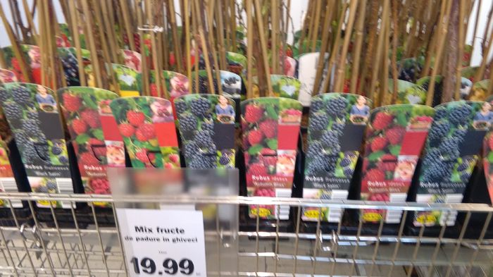 oferte lidl 14 martie