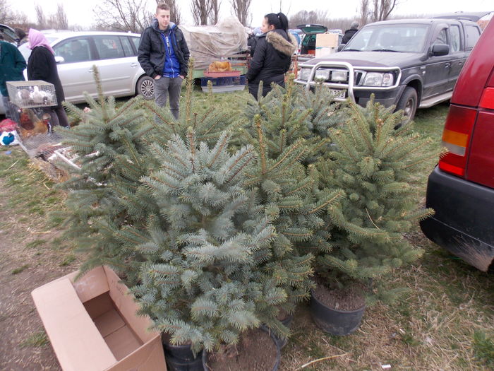 DSCN1586 - TARG-2016-MONOR UNGARIA