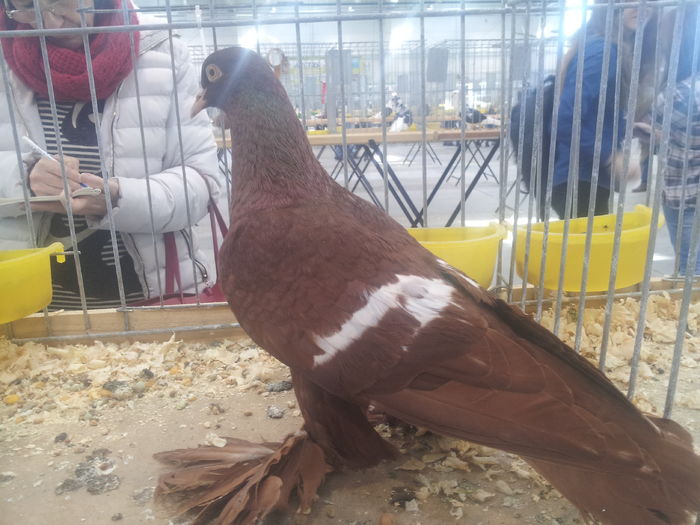 SKSO%u0143SKI POLNY 94 PKT