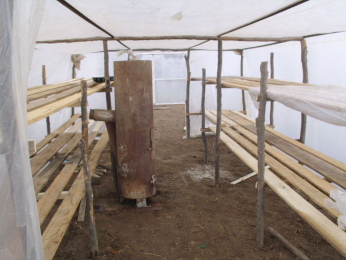 solar 002; Rasadnita
