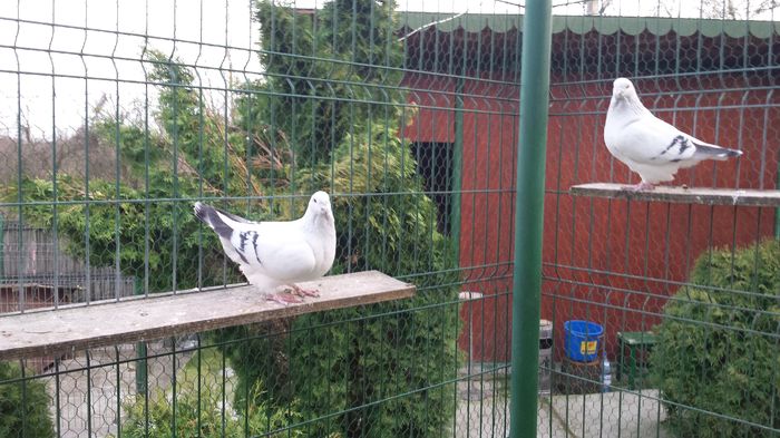 M-2014-617&F-2015-4384