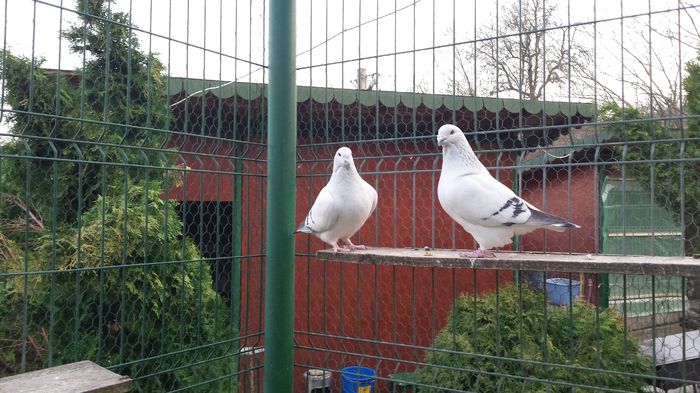 M-2014-617&F-2015-4384