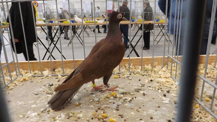 WIEDE%u0143SKI  LOTNY 92 PKT