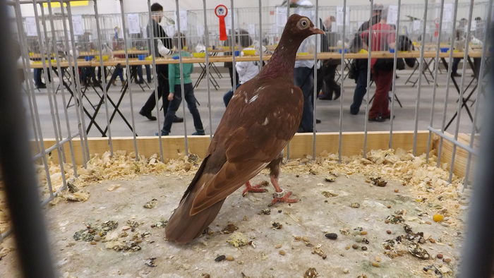 WIEDE%u0143SKI LOTNY 92 PKT