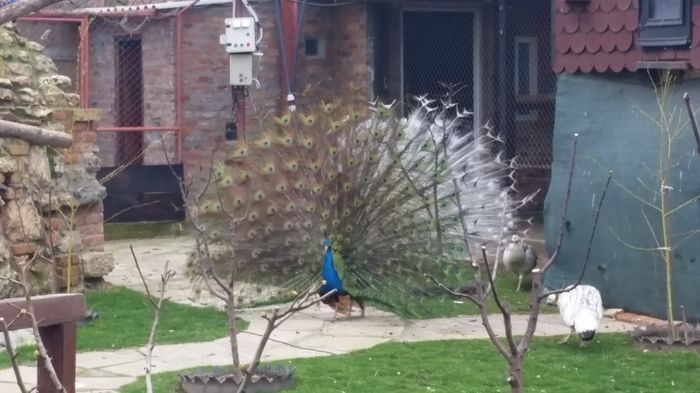 20160315_084117