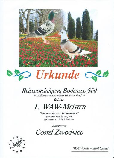 URKUNDE 8