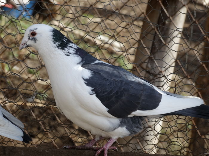 DSC05191