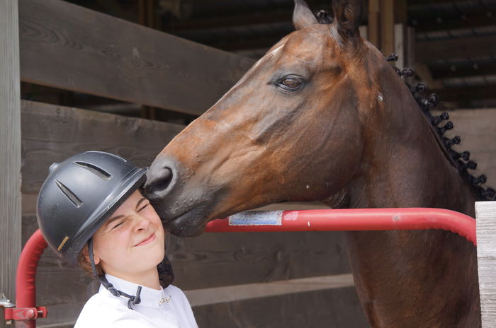 Calul si fetita  prieteni buni