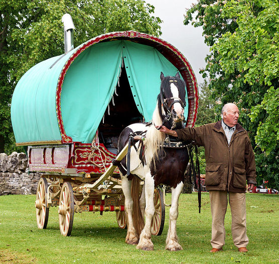 Caruta si calul deosebiti