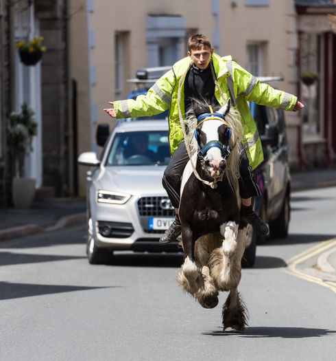 Cu calul pe drum-65x