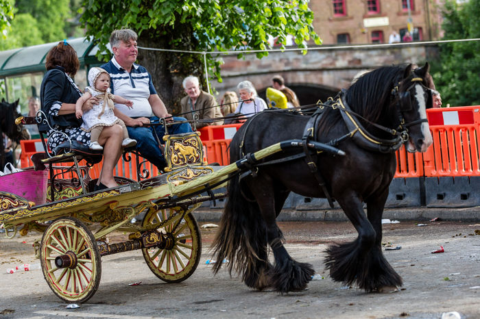Cu familia in caleasca-65y