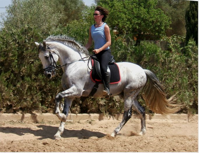 Femeia calare pe cal-7e4