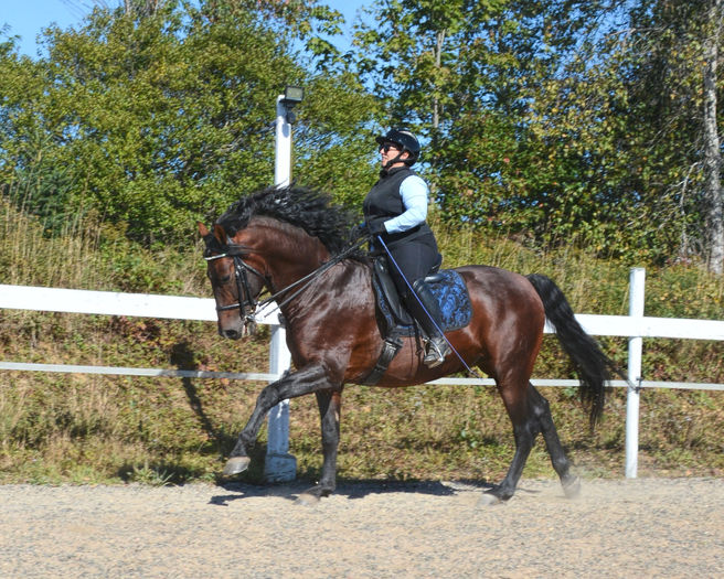 Femeia durdulie pe cal