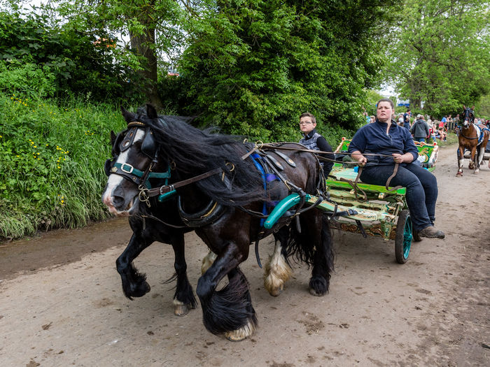 Femeia semigrea la haturi