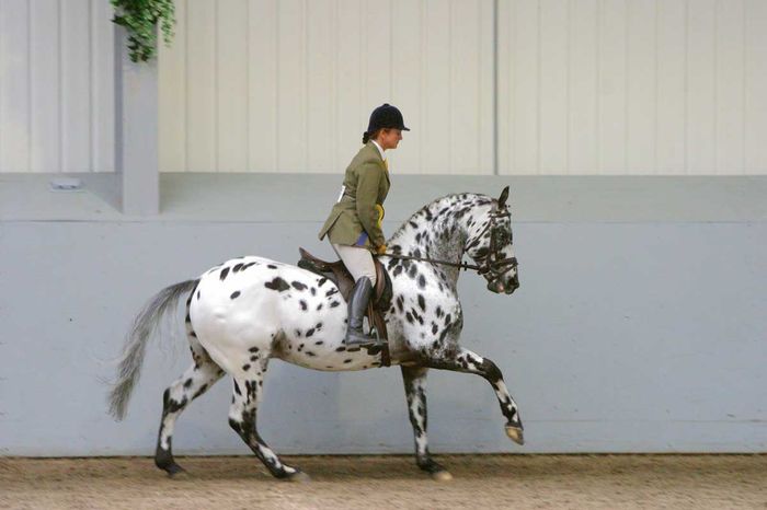 Femeia si calul pestrit