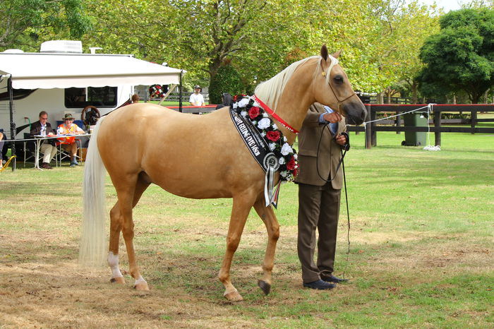 Frumusete de calut-pr6