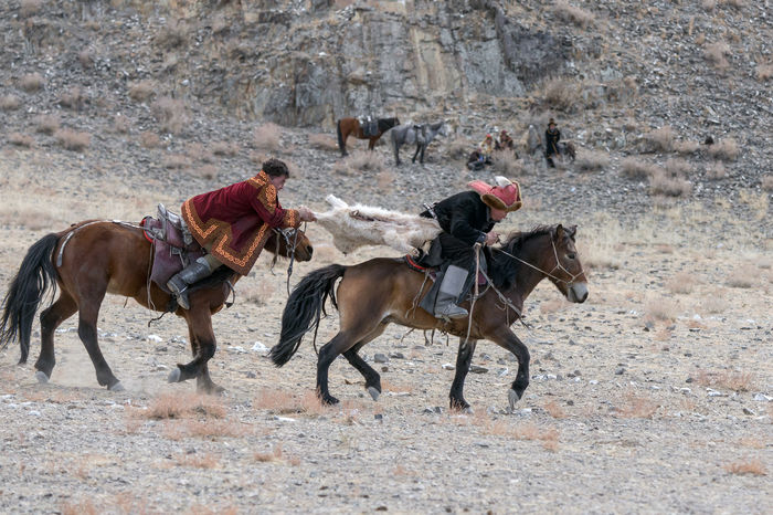 Mongolii cu caii micuti-1