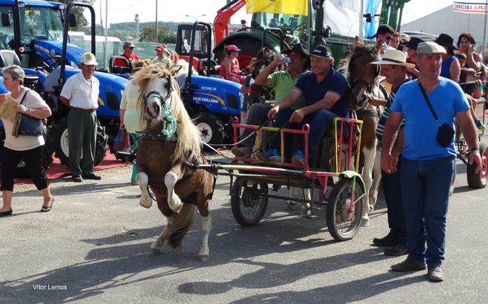 Ni la el ce stie daaaaa