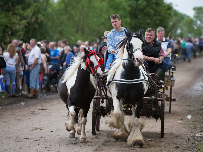 Oameni si cai frumosi