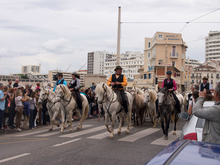 Pastorii spanioli-543