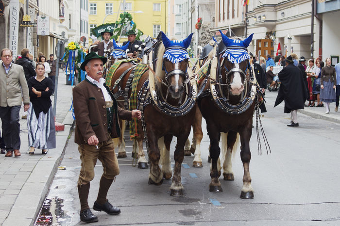 Prin oras cu caii-ps8