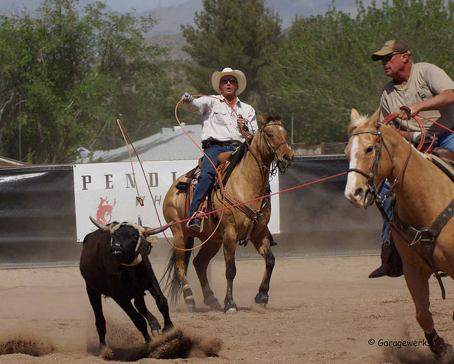 Prinderea taurasului-7bn