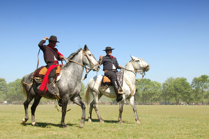 Spaniolii astia cu caii