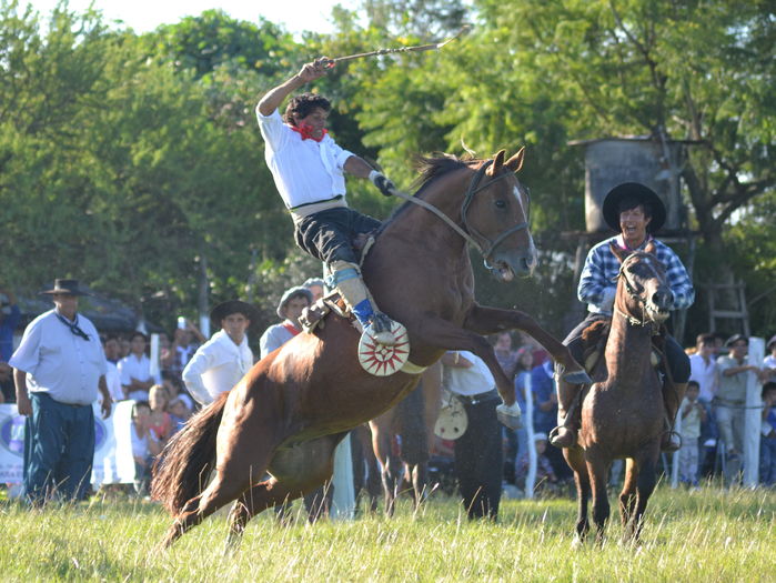 Spaniolii cu caii la dresaj