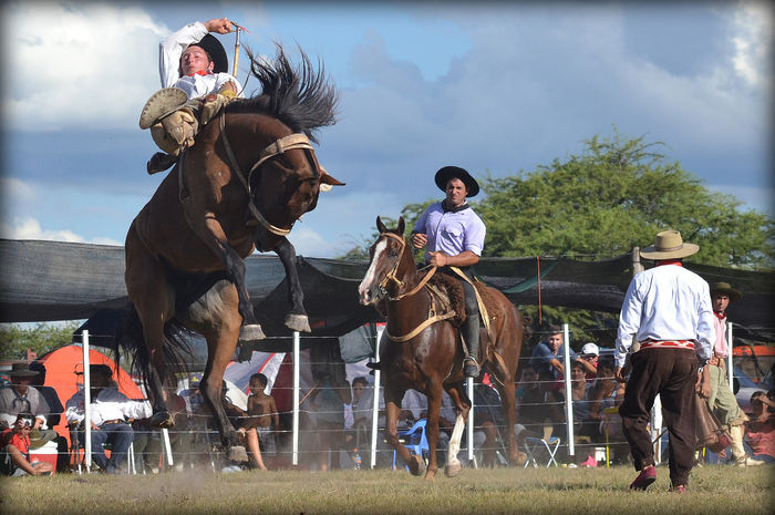 Spaniolii cu caii la dresaj-43d
