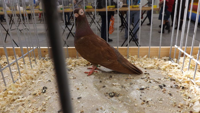 MAŚCIUCH POLSKI  89 PKT