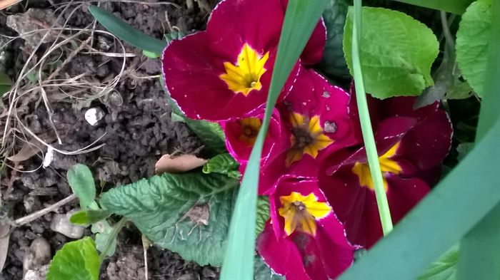 WP_20160314_17_37_49_Pro