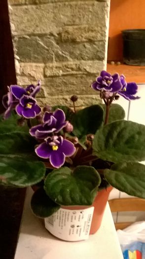 WP_20160307_17_26_58_Pro