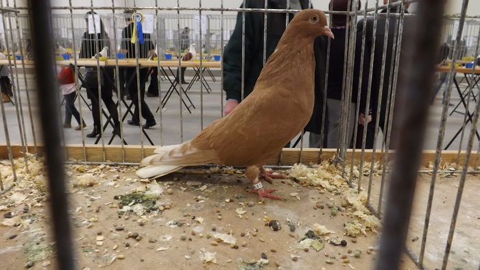 MIKOŁAJOWSKI 92 PKT (2)