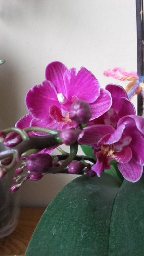 20160316_173825 - 2016