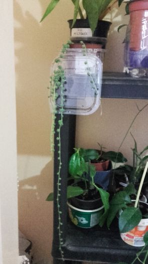 20160316_181021 - 2016